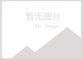 日照岚山以寒建设有限公司